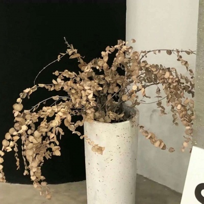 兽设海洋场景创作Furry群